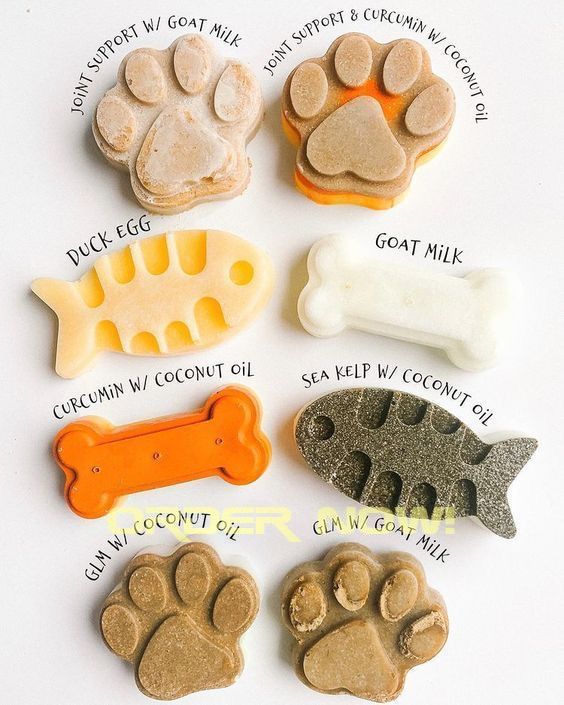 Recette friandise chien maison