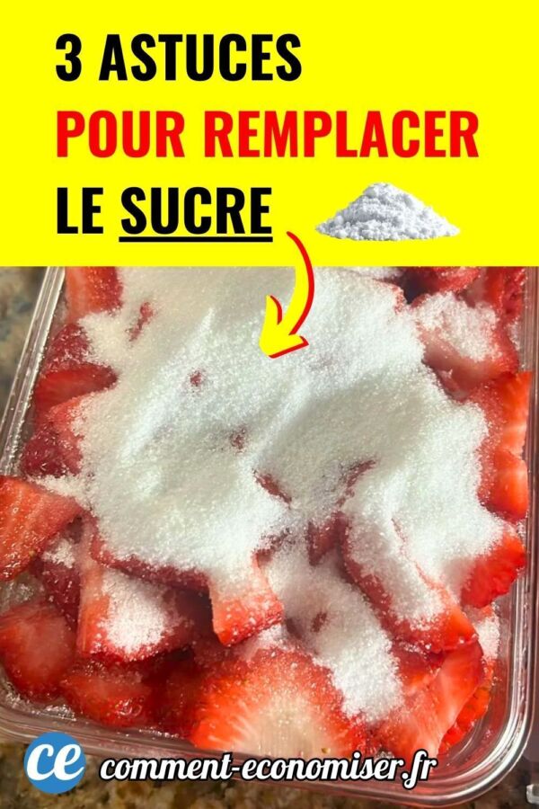 Substitut sucre gâteau diabétique