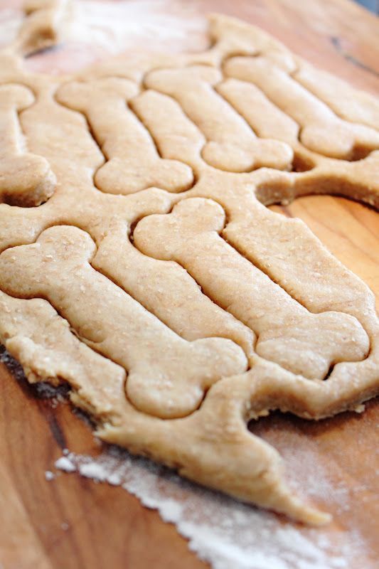 Friandise maison pour chien