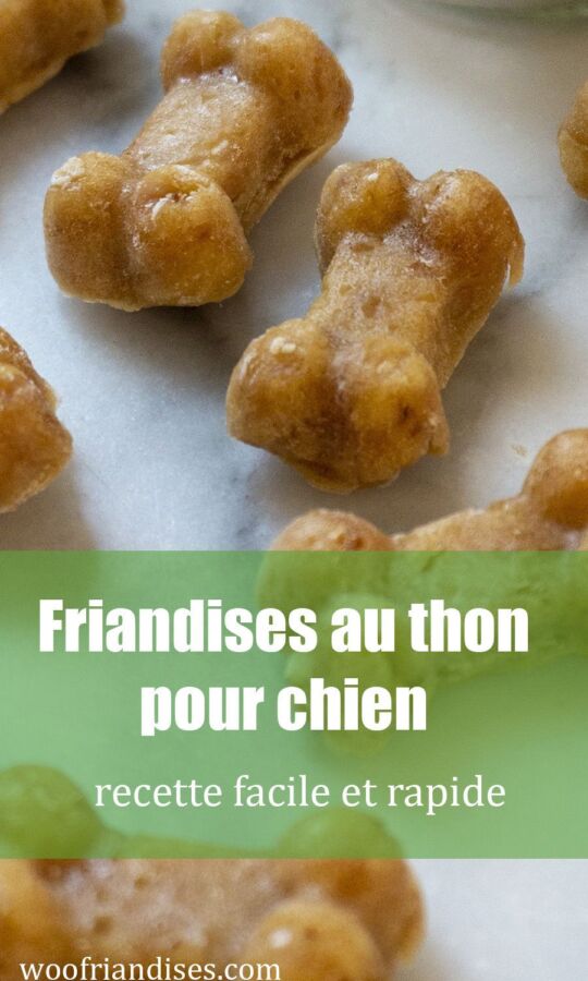 Friandise maison pour chien