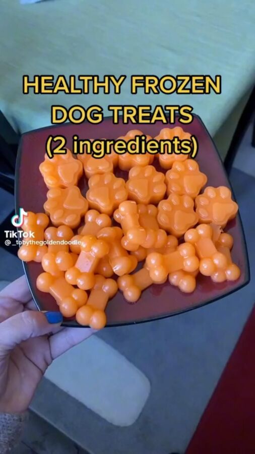 Friandise maison pour chien