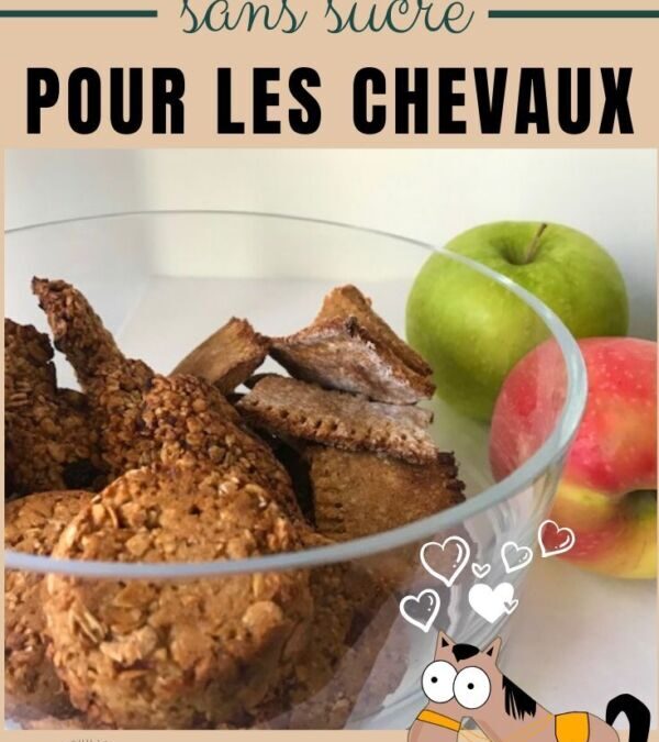 Recette facile de friandise saine pour votre cheval