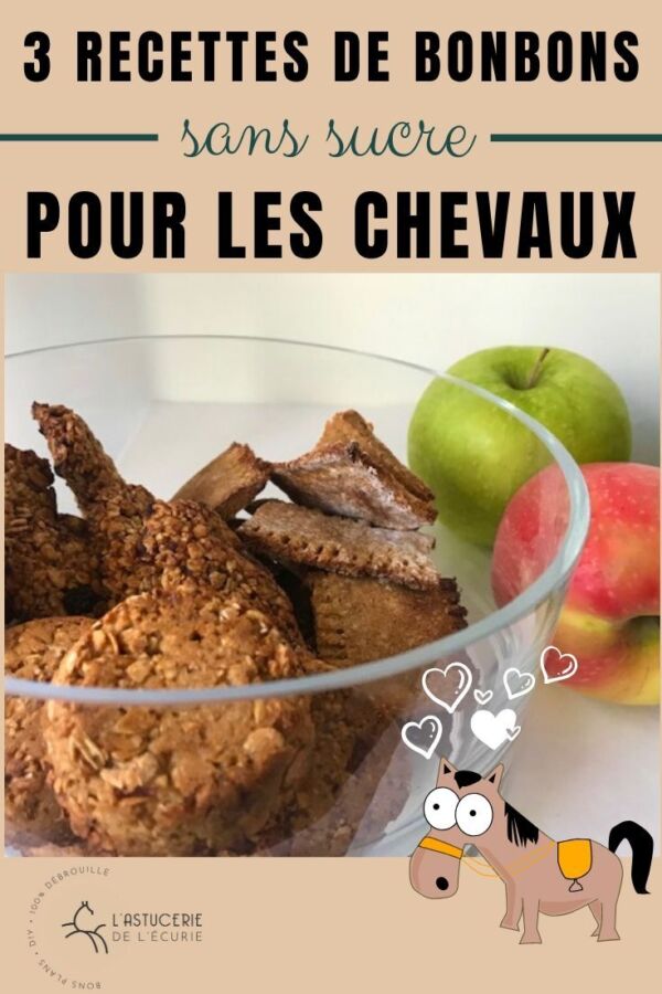 Friandise saine pour cheval