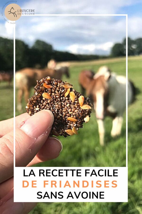 Friandise saine pour cheval