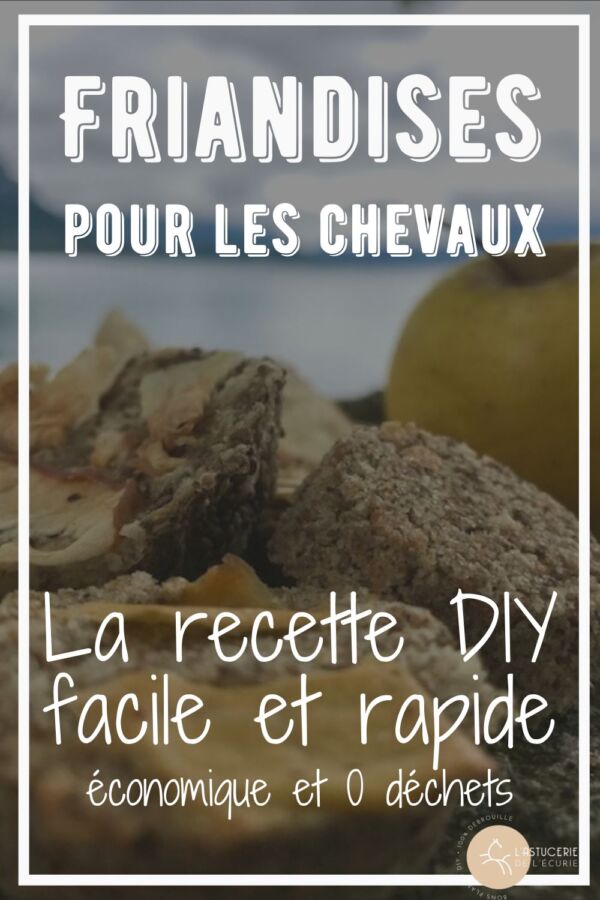 Friandise saine pour cheval