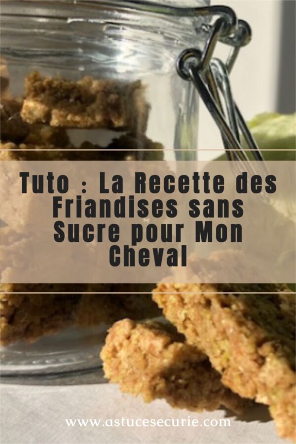 Friandise saine pour cheval