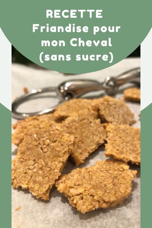 Friandise saine pour cheval