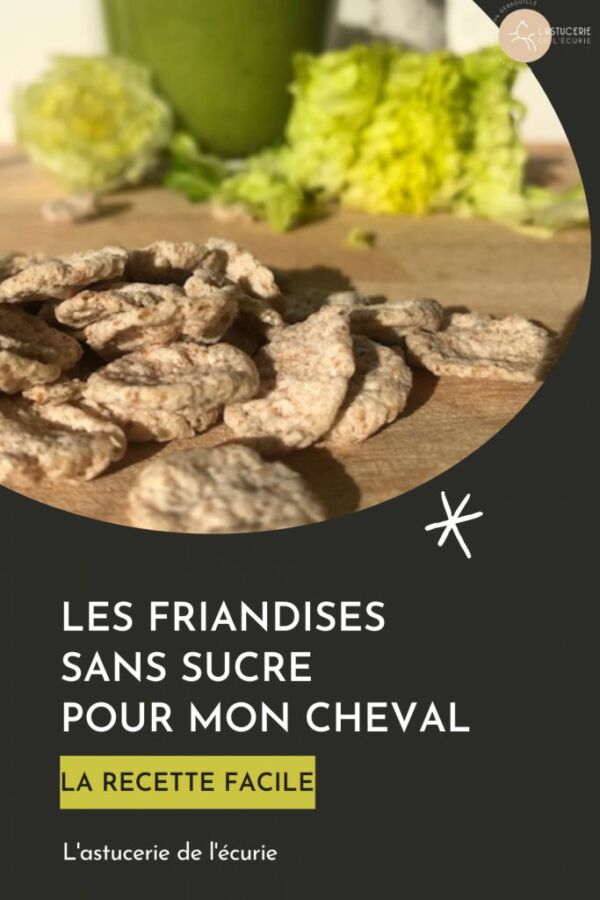 Friandise saine pour cheval