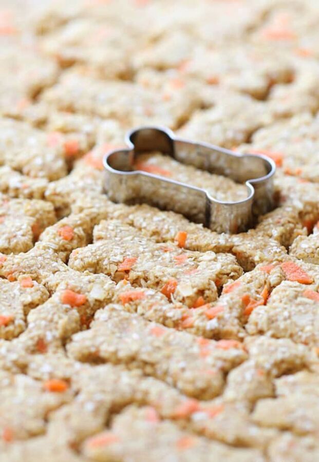 Friandise saine pour chien