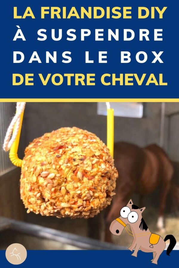 Bonbons maison pour chevaux