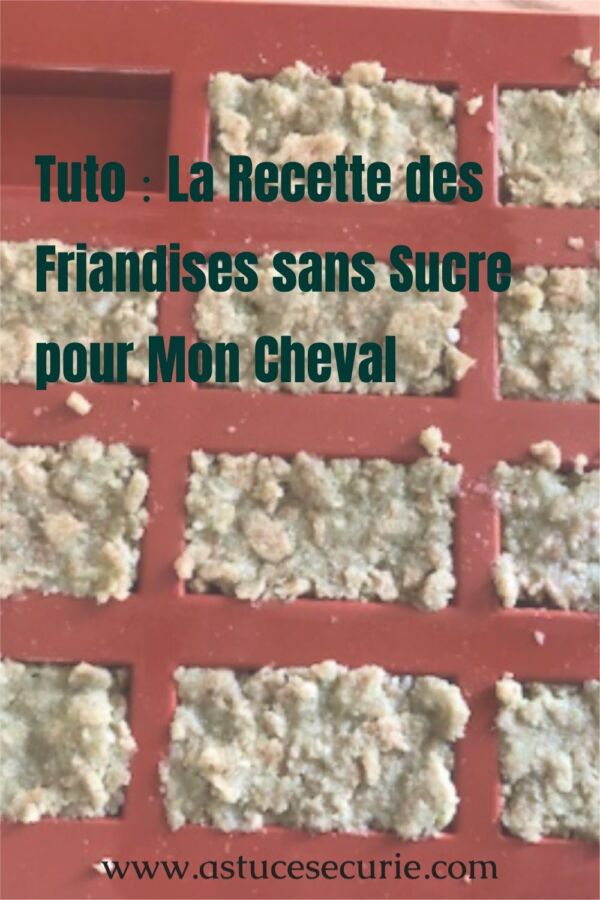 Bonbons maison pour chevaux