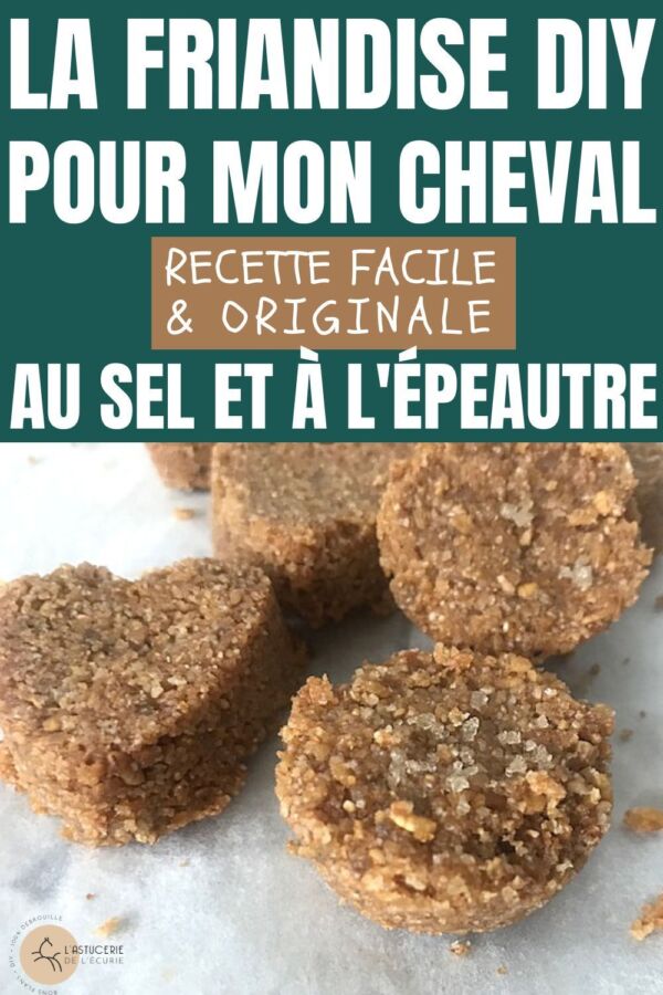 Recette friandises équines