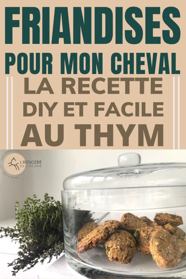 Bonbons maison pour chevaux