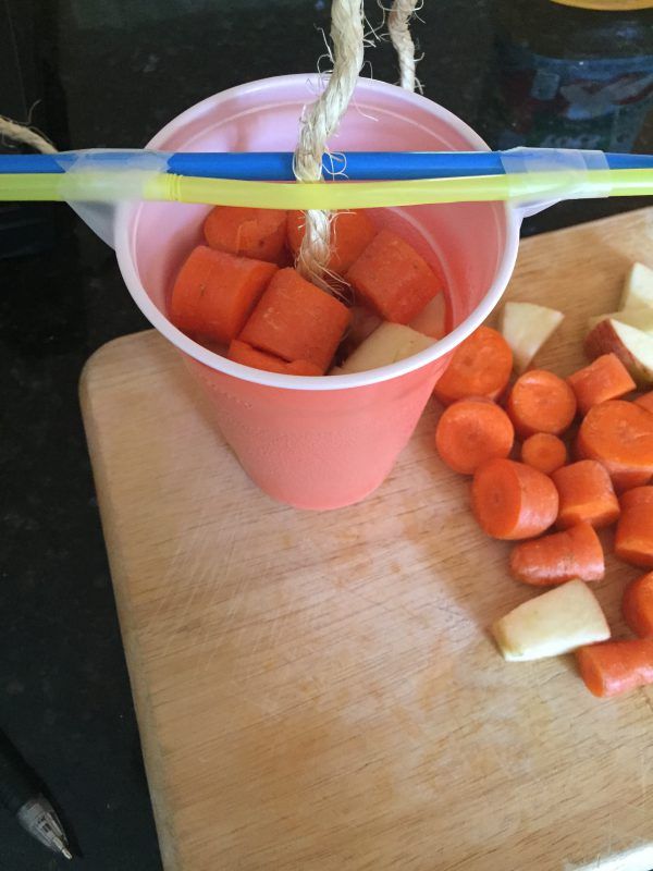 Recette friandises équines