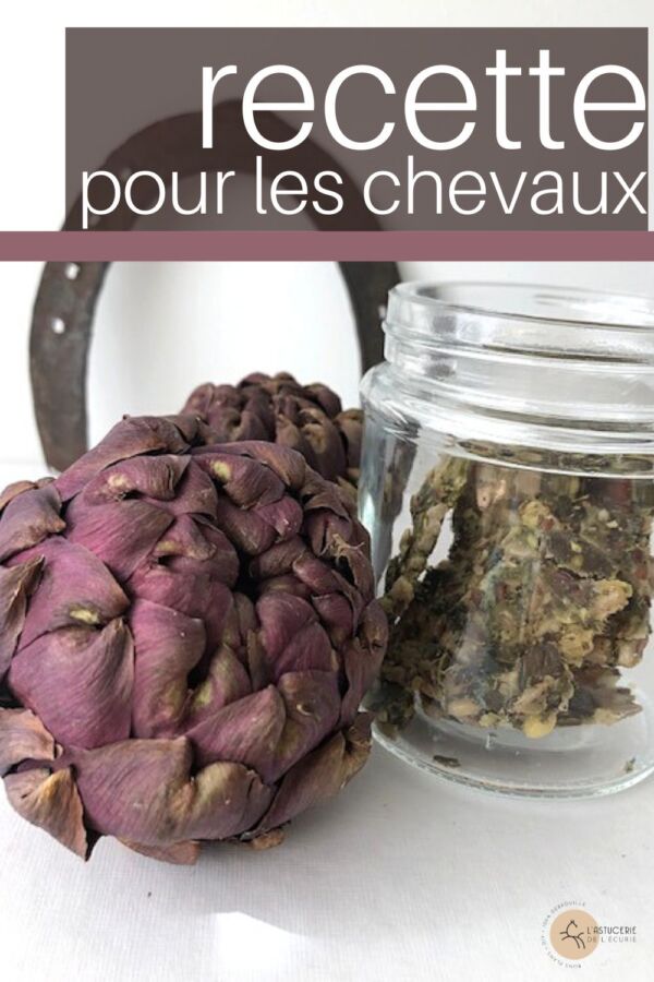 Recette friandises équines