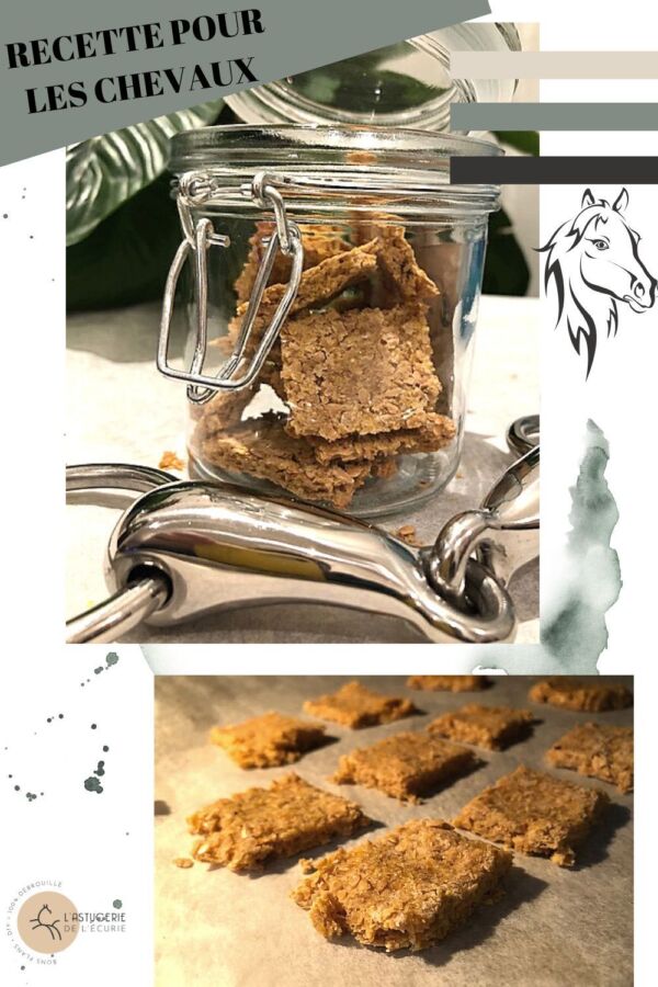 Recettes maison équines