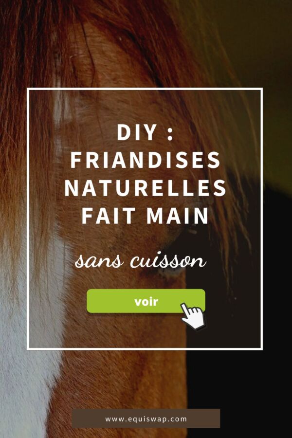 Friandises naturelles chevaux