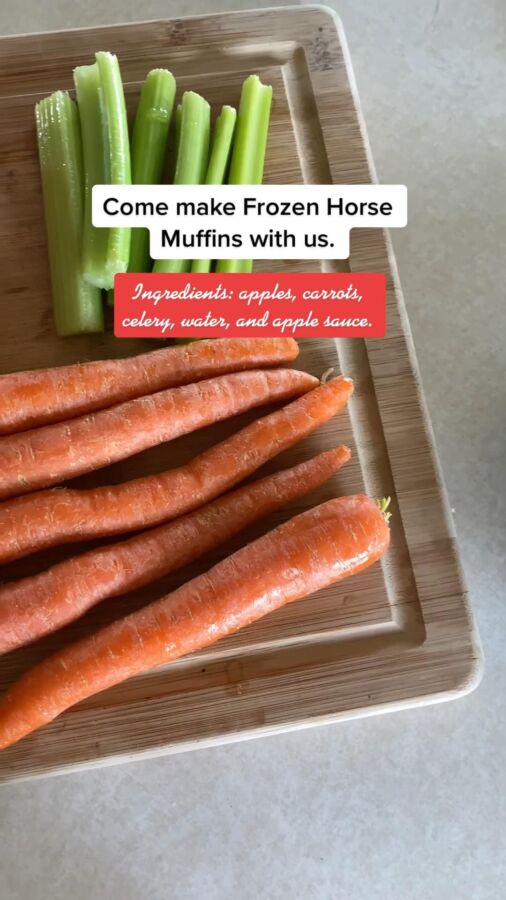 Recettes maison équines