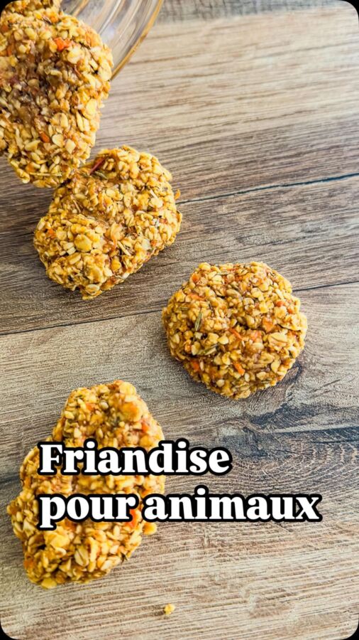 Friandises naturelles chevaux