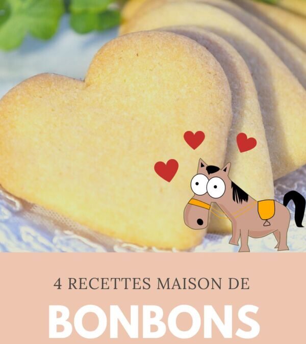 Recette simple et naturelle de bonbon pour chevaux