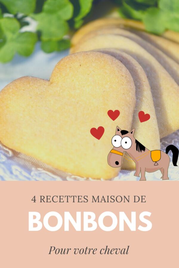 Bonbons naturels pour chevaux