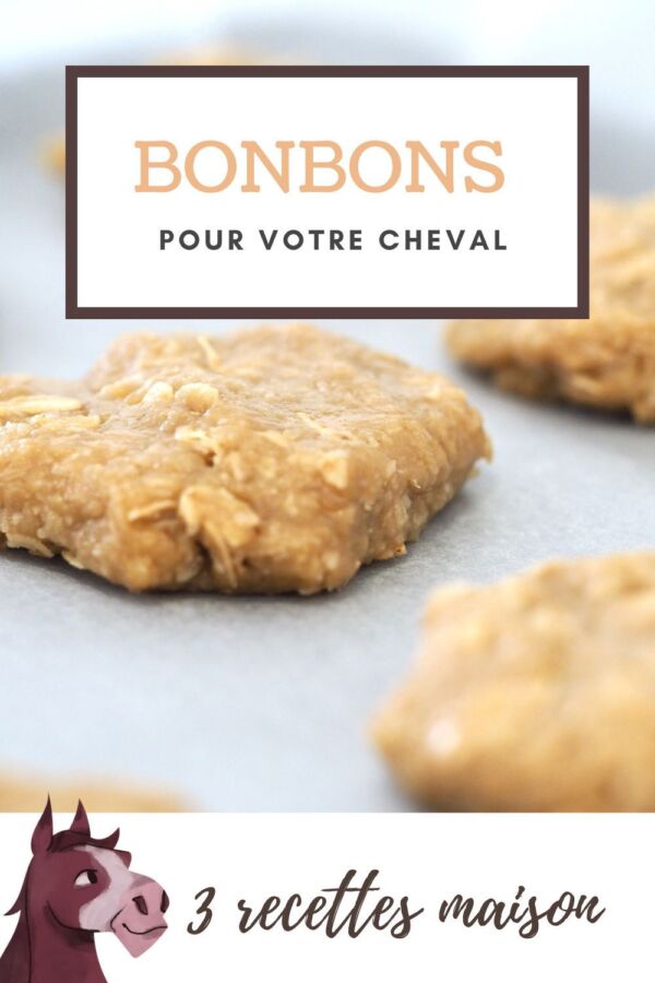 Bonbons naturels pour chevaux