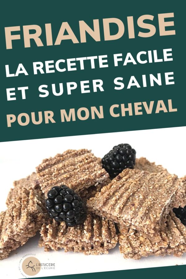 Bonbons naturels pour chevaux