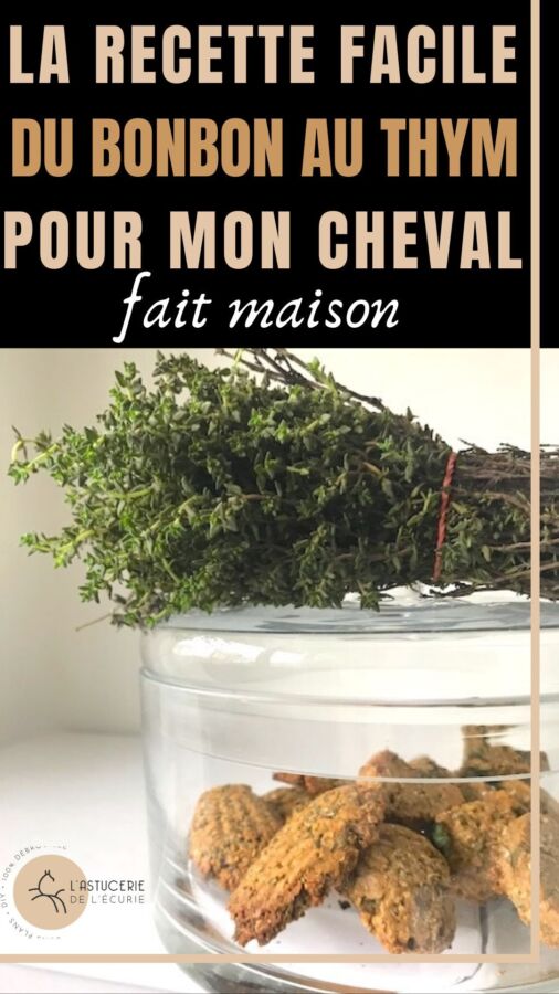 Recette facile de friandises