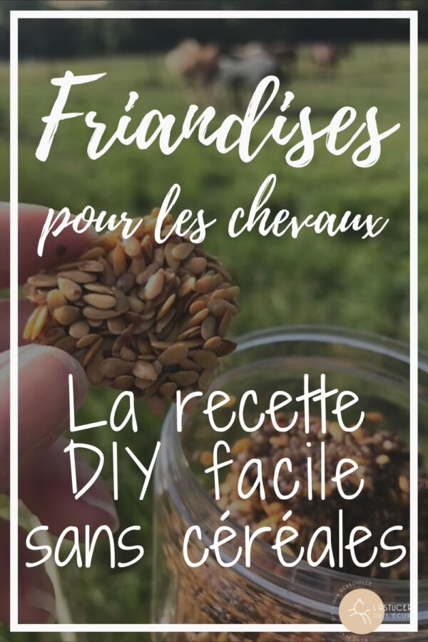 Bonbons naturels pour chevaux