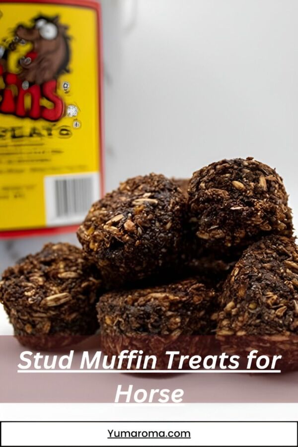 Bonbons naturels pour chevaux