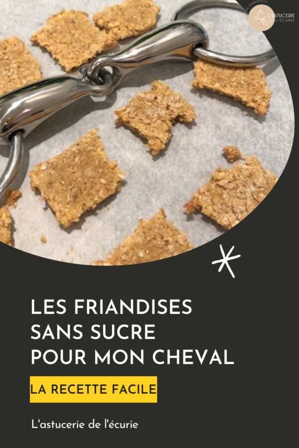 Friandises savoureuses équins