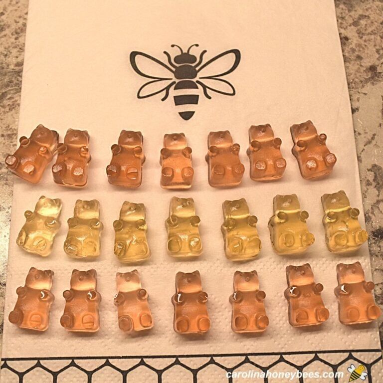 Bonbons au miel maison