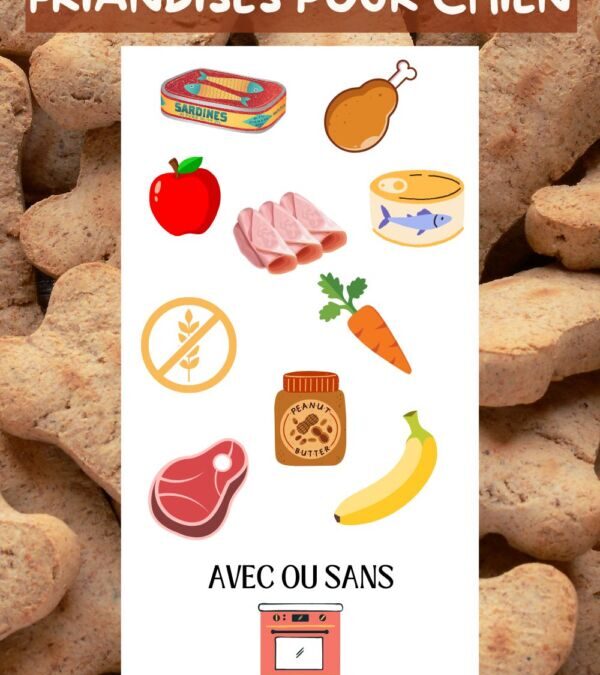 Recette simple et saine de friandises maison pour chien