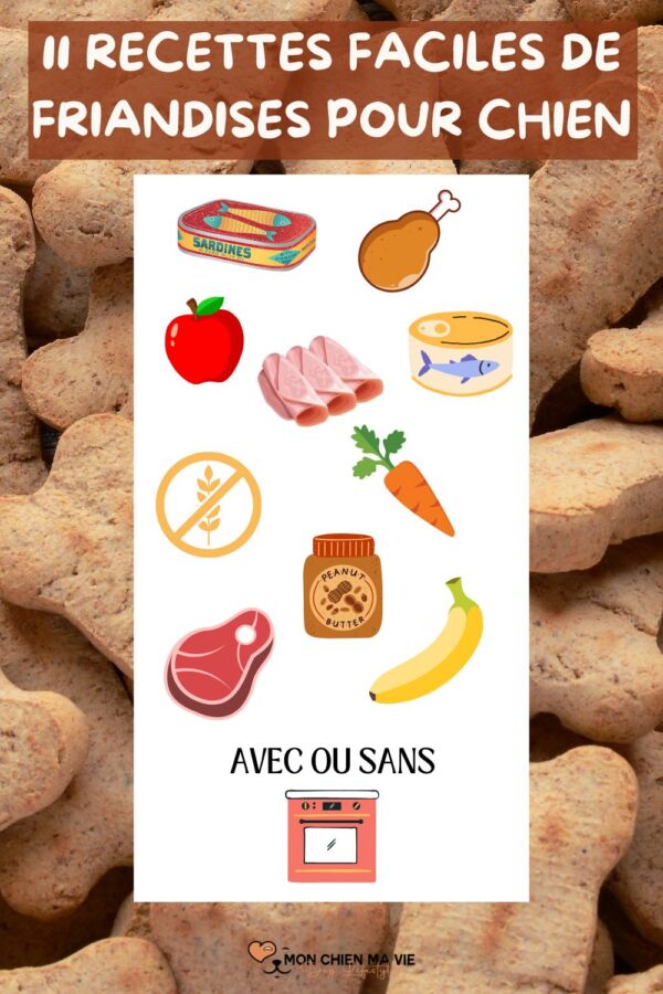 Friandises maison pour chien