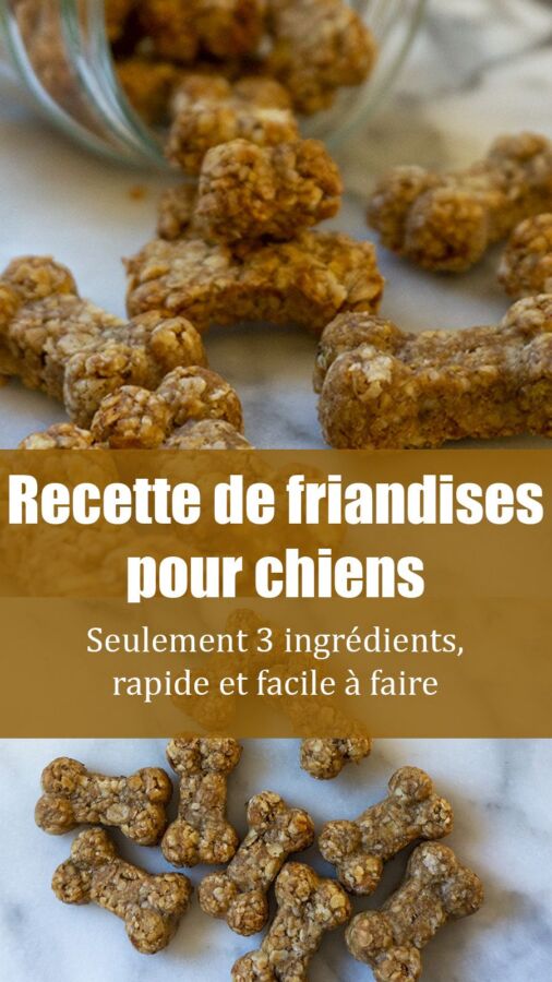 Recette saine pour chien