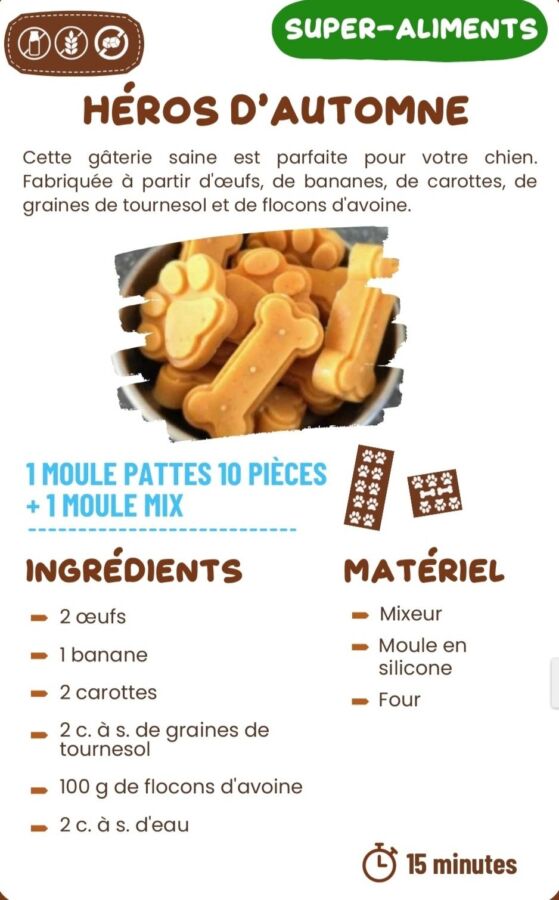 Recette saine pour chien