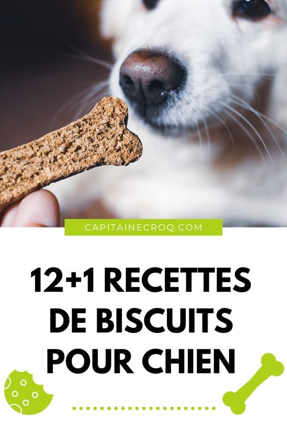 Friandises maison pour chien