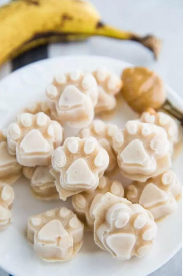 Friandises maison pour chien