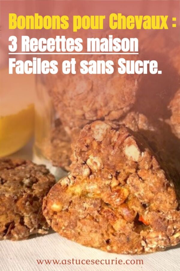 Recette facile friandises équines