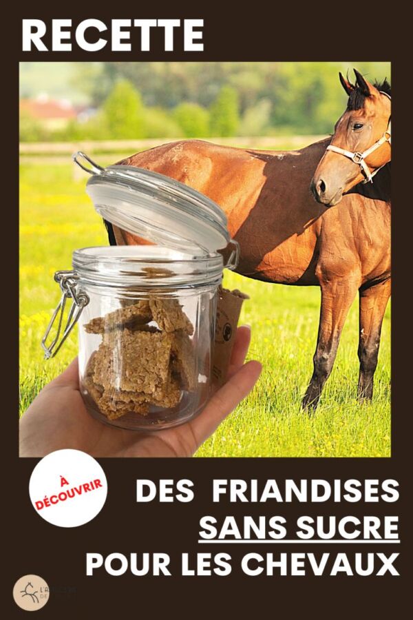 Friandises maison pour chevaux
